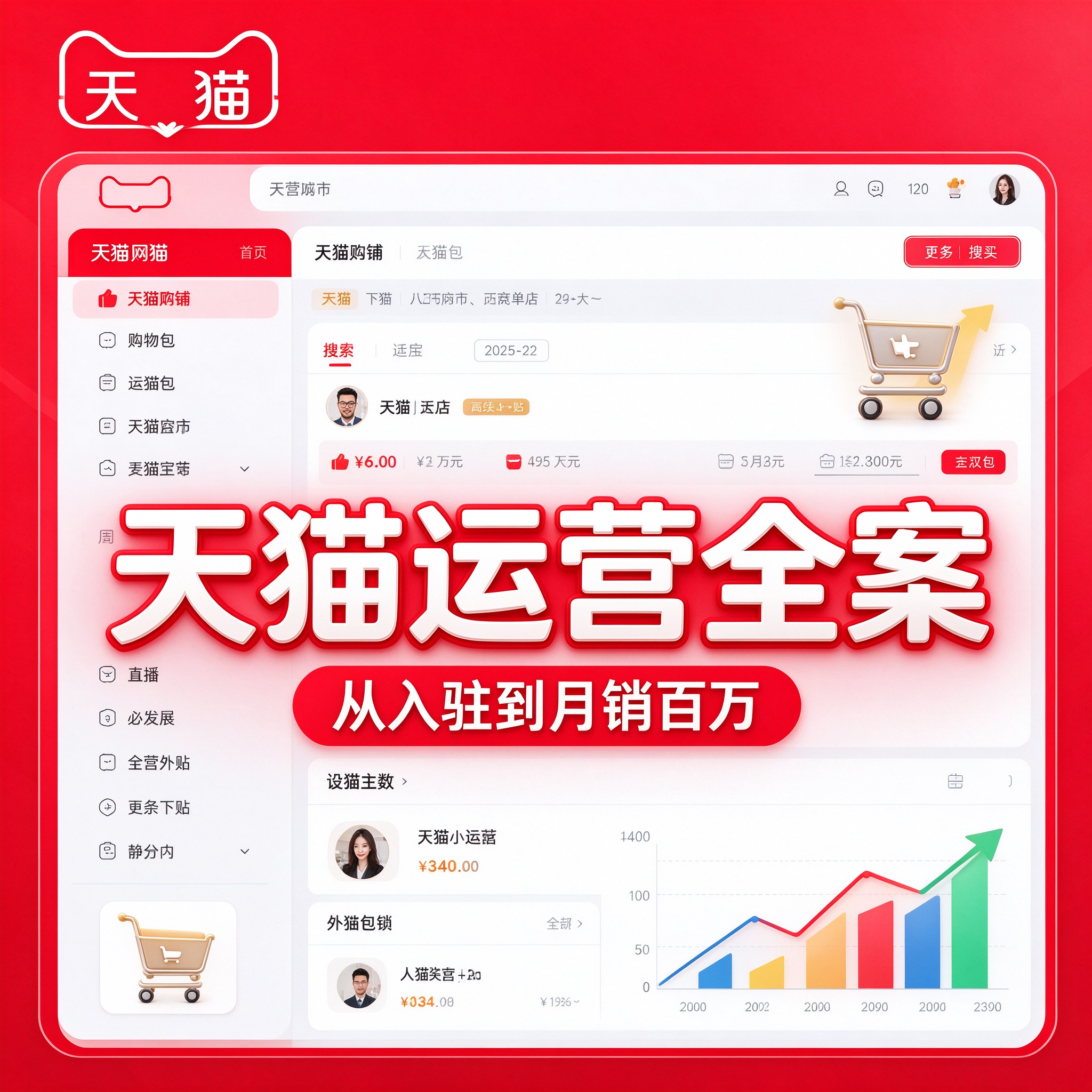 天猫店铺运营全案私教